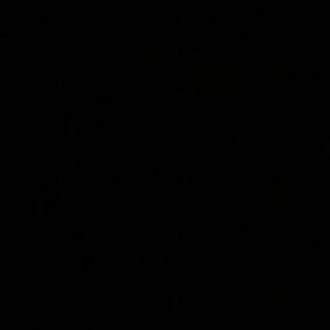 Meet your Posher, Ramona